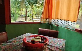 Cabañas UCIHUEN